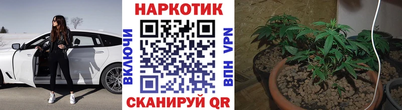 Купить наркотики цена Иноземцево Галлюциногенные грибы Меф ГАШИШ Конопля