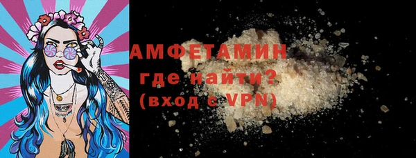 прущие грибы Болотное